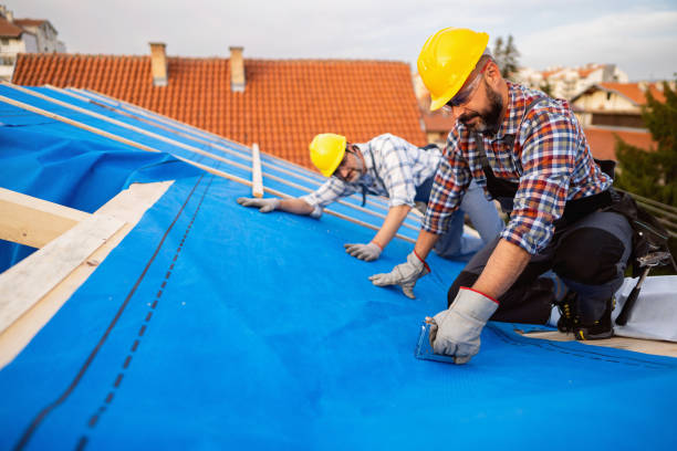 Best Storm Damage Roof Repair  in Avis, PA
